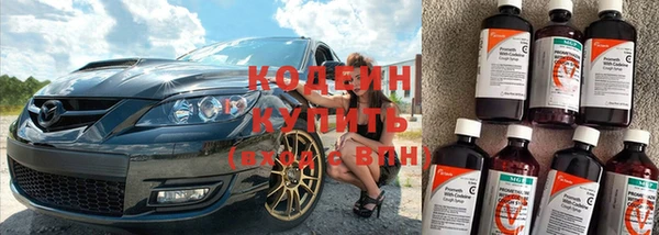 шишки Михайловск