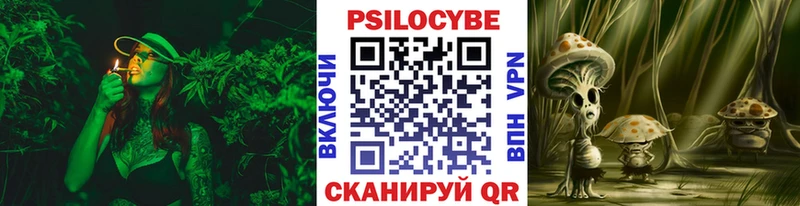 Псилоцибиновые грибы Cubensis  Купить где  Михайловск 